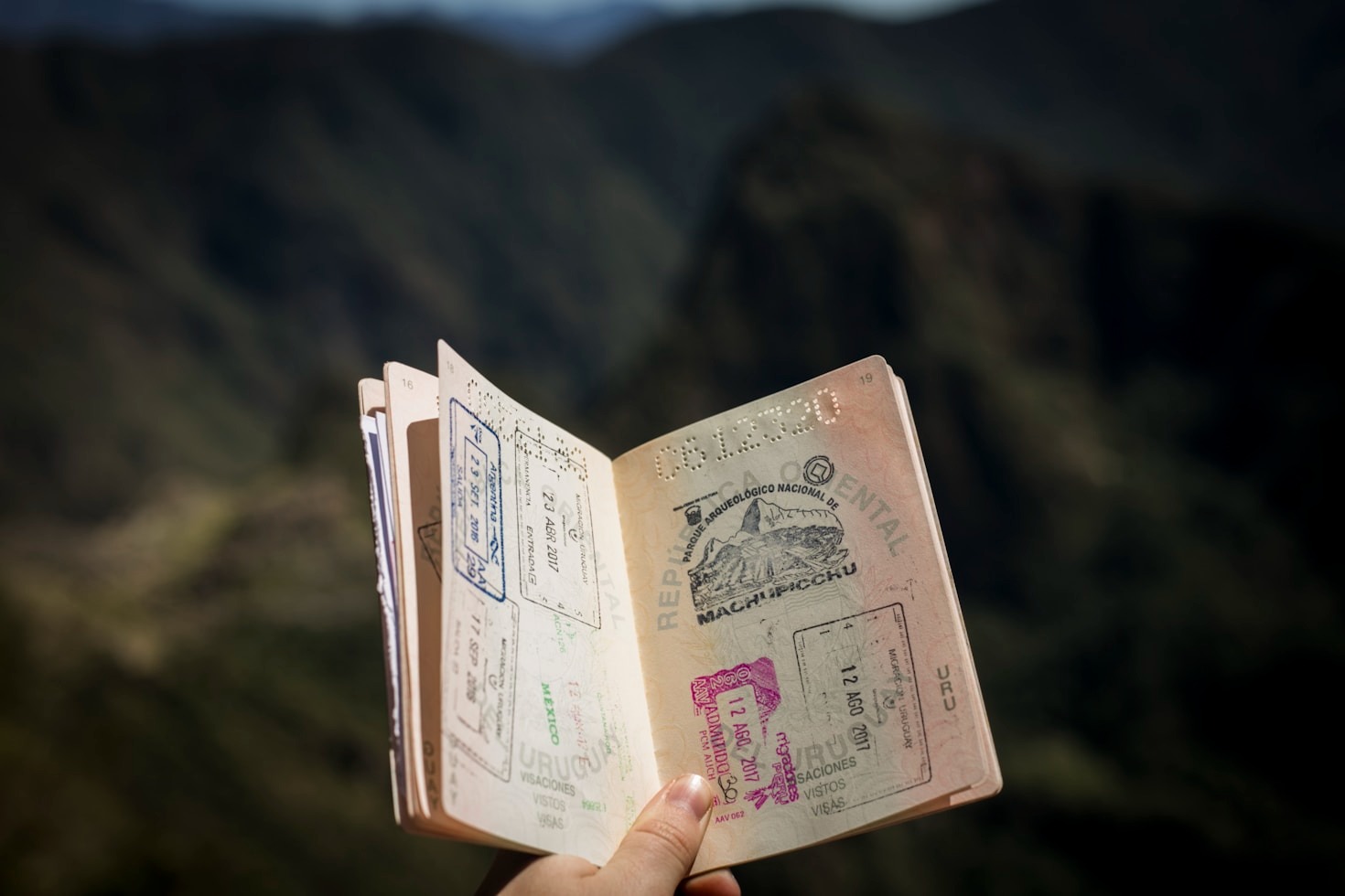 Everything You Need to Know About Visa Requirements